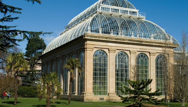 Royal Botanic Garden, Edinburgh glasshouse