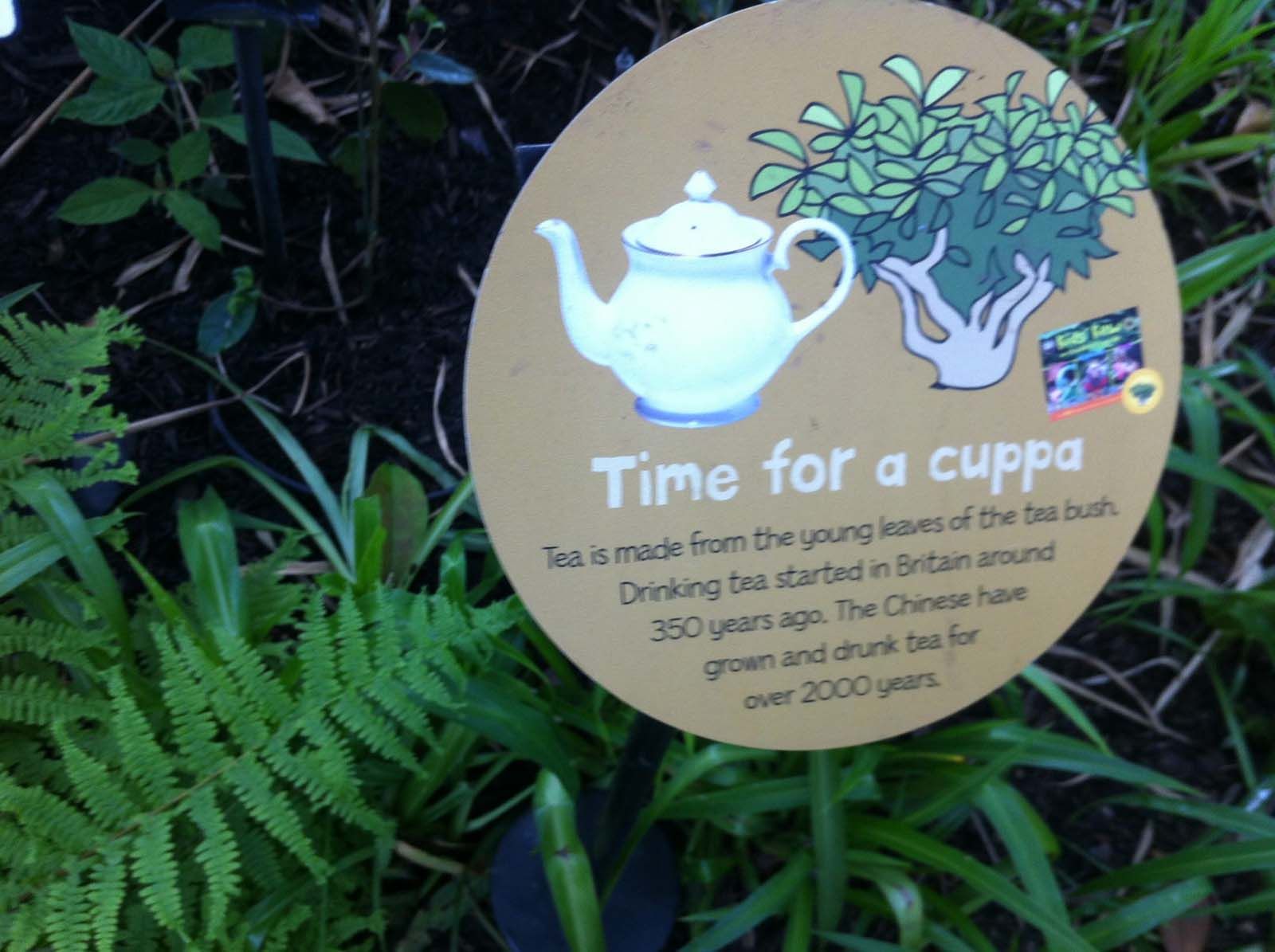 Kew Gardens tea kidspanel