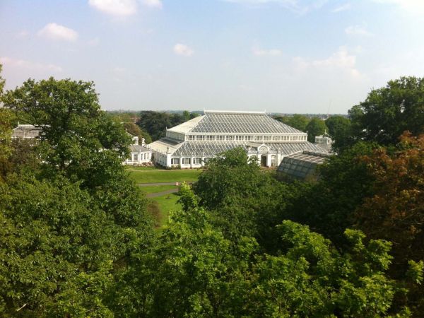 Kew Gardens temperate house